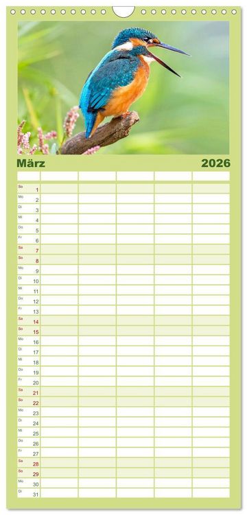 Produktbild: Familienplaner 2026 - Amsel, Fink und Star: Heimische V&ouml;gel mit 5 Spalten (Wandkalender, 21 x 45 cm) CALVENDO