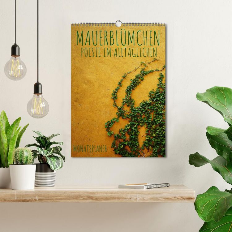 Produktbild: Mauerbl&uuml;mchen - Poesie im Allt&auml;glichen als Monatsplaner (Wandkalender 2026 DIN A3 hoch), CALVENDO Monatskalender