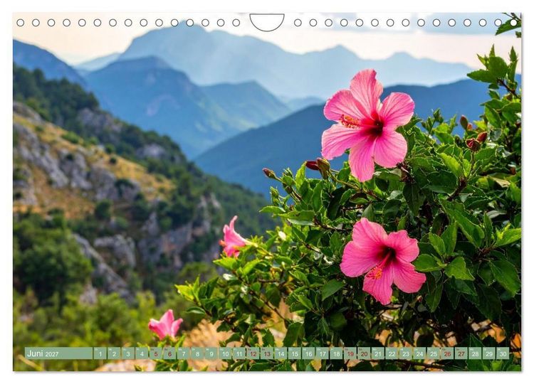 Produktbild: Zimmerpflanzen auf Heimaturlaub (Wandkalender 2027 DIN A4 quer), CALVENDO Monatskalender