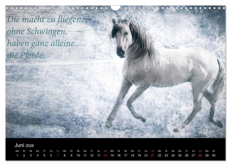 Produktbild: Pferde zum Tr&auml;umen (Wandkalender 2026 DIN A3 quer), CALVENDO Monatskalender
