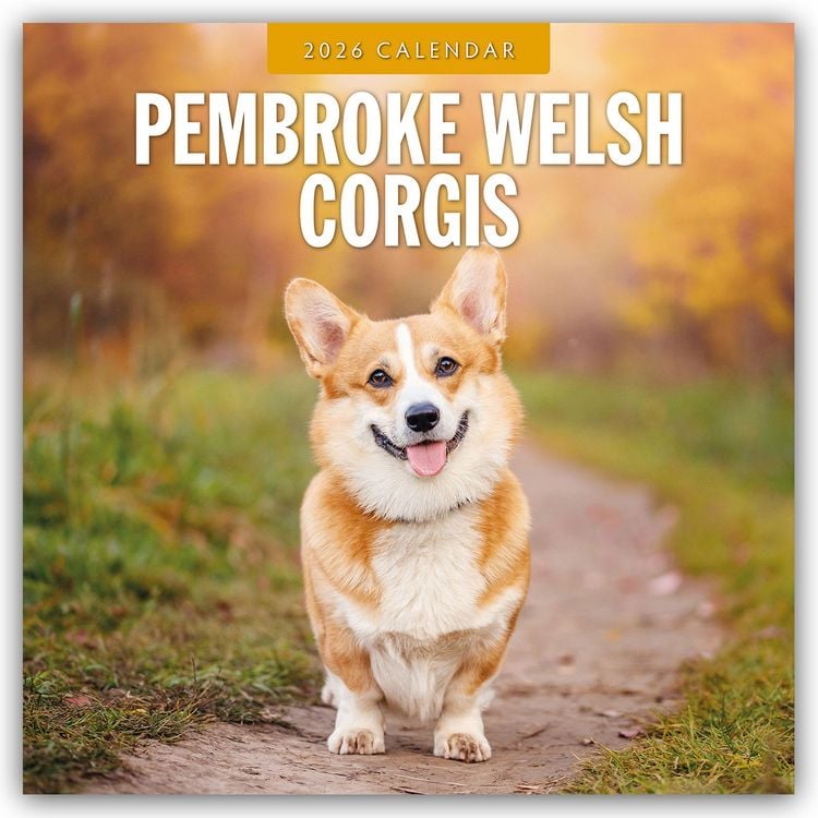 Produktbild: Pembroke Welsh Corgis – Pembroke Welsh Corgi 2026 – 16-Monatskalender