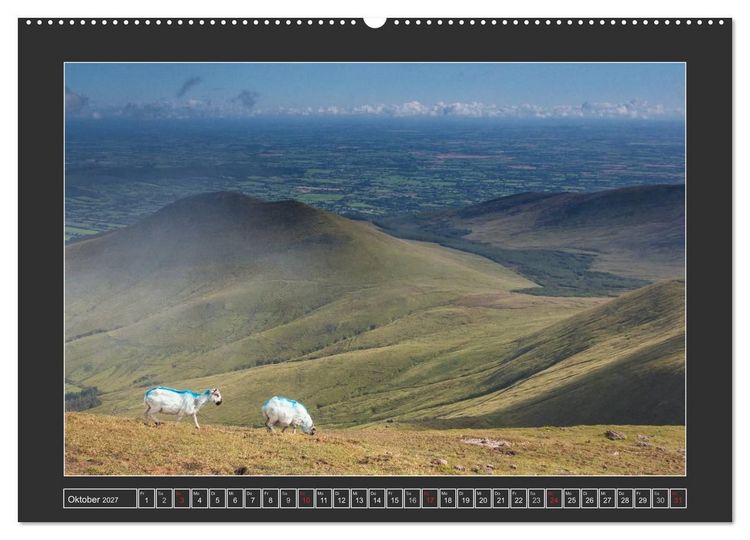 Produktbild: IRLAND - Insel der gl&uuml;cklichen Schafe (Wandkalender 2027 DIN A2 quer), CALVENDO Monatskalender