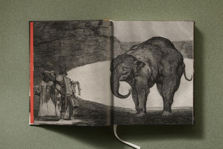 Produktbild: Goya