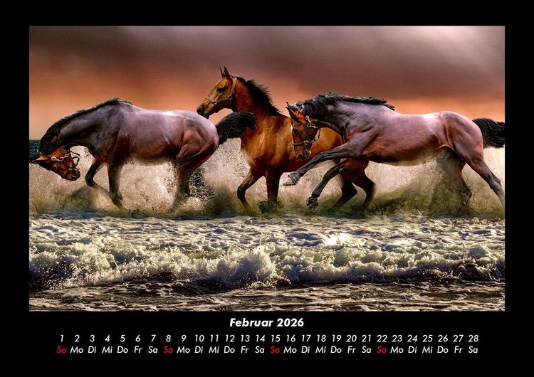 Produktbild: Pferdetraum 2026 Fotokalender DIN A3
