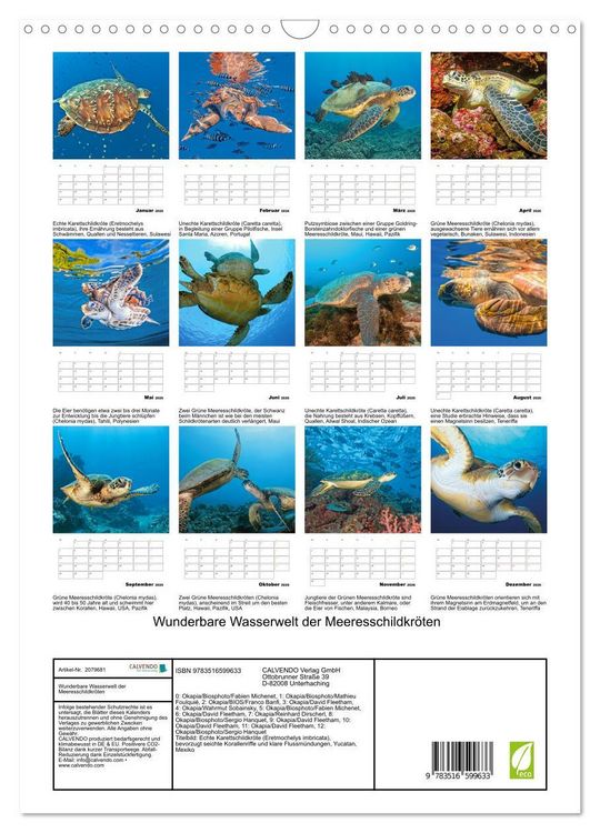 Produktbild: Wunderbare Wasserwelt der Meeresschildkr&ouml;ten (Wandkalender 2026 DIN A3 hoch), CALVENDO Monatskalender