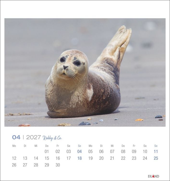 Produktbild: Robby & Co. Postkartenkalender 2027