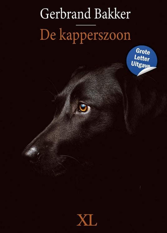 Produktbild: De kapperszoon