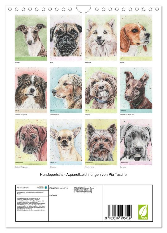 Produktbild: Hundeportr&auml;ts - Aquarellzeichnungen von Pia Tasche (Wandkalender 2026 DIN A4 hoch), CALVENDO Monatskalender