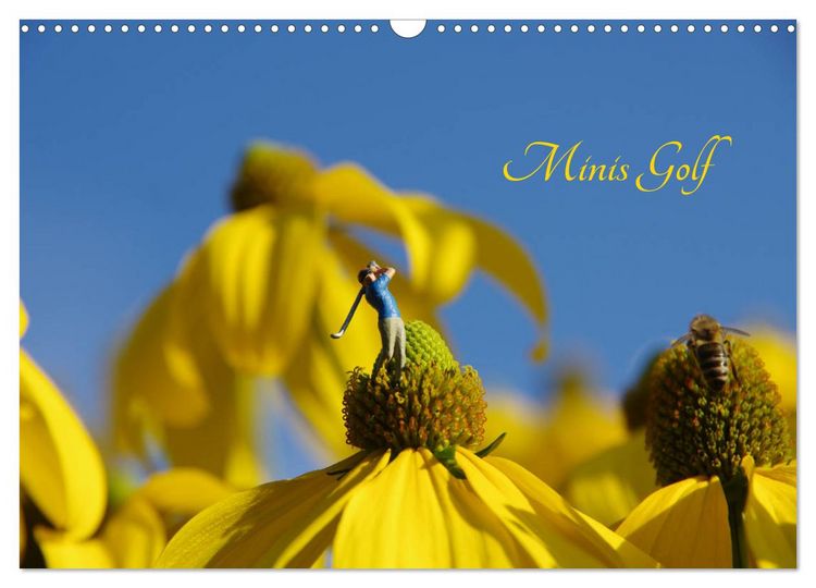 Produktbild: Minis Golf (Wandkalender 2026 DIN A3 quer), CALVENDO Monatskalender