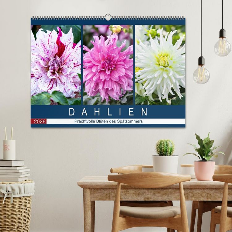 Produktbild: Dahlien - Prachtvolle Bl&uuml;ten des Sp&auml;tsommers (Wandkalender 2026 DIN A2 quer), CALVENDO Monatskalender