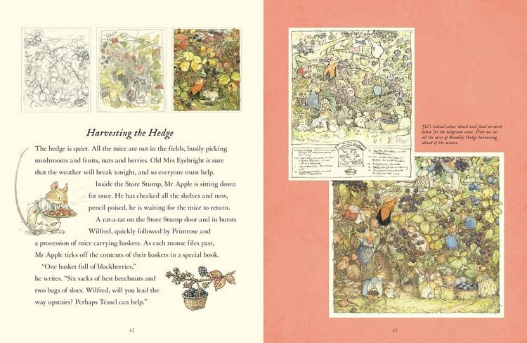 Produktbild: A Visit to Brambly Hedge