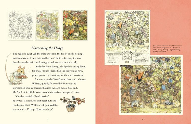 Produktbild: A Visit to Brambly Hedge