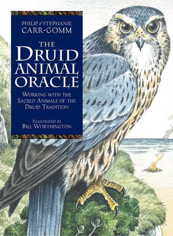 Produktbild: The Druid Animal Oracle