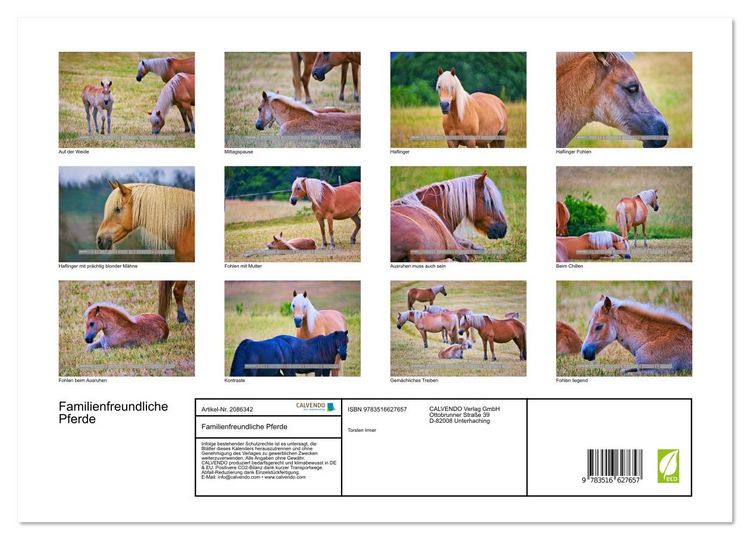 Produktbild: Familienfreundliche Pferde (hochwertiger Premium Wandkalender 2026 DIN A2 quer), Kunstdruck in Hochglanz