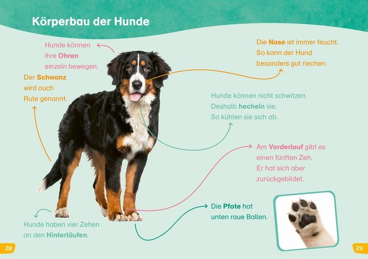 Produktbild: WAS IST WAS Erstes Lesen easy! Hunde - meine Lieblingstiere