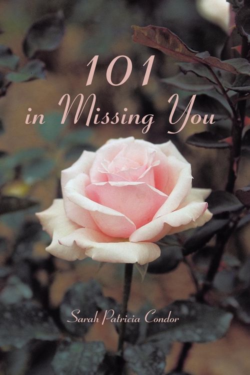 Produktbild: 101 in Missing You