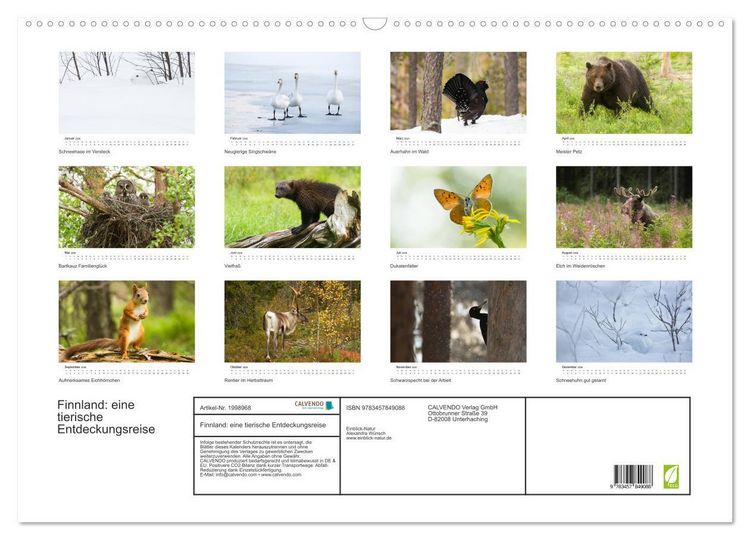 Produktbild: Finnland: eine tierische Entdeckungsreise (Wandkalender 2026 DIN A2 quer), CALVENDO Monatskalender