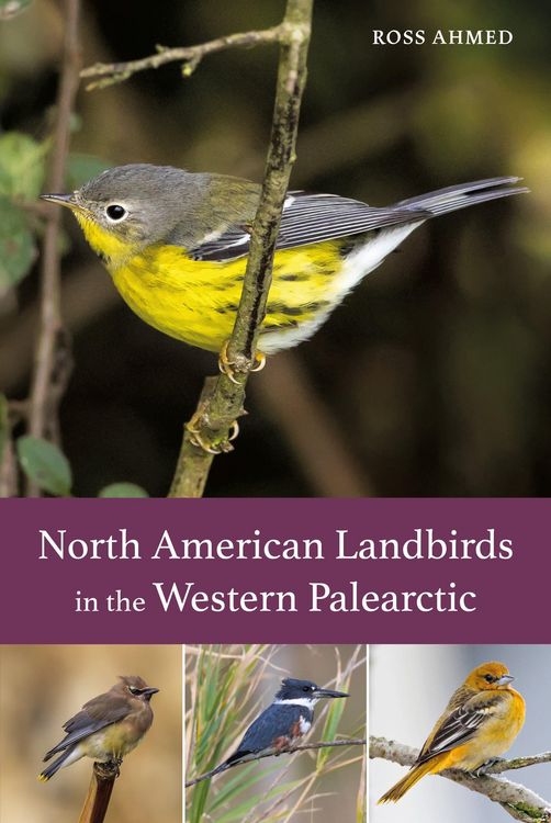 Produktbild: North American Landbirds in the Western Palearctic