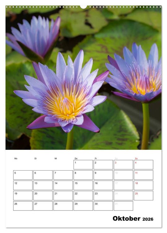 Produktbild: MEDITATION - Wellness f&uuml;r die Seele (hochwertiger Premium Wandkalender 2026 DIN A2 hoch), Kunstdruck in Hochglanz