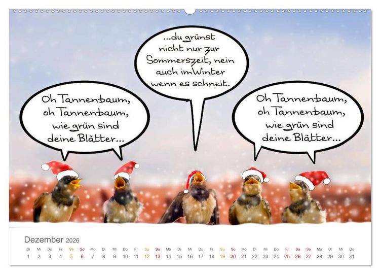 Produktbild: Wenn Schwalben reden (Wandkalender 2026 DIN A2 quer), CALVENDO Monatskalender