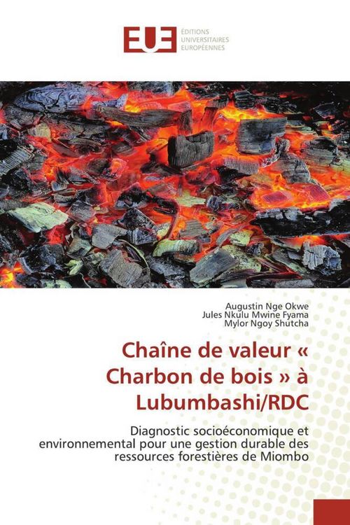 Produktbild: Cha&icirc;ne de valeur ' Charbon de bois ' &agrave; Lubumbashi/RDC