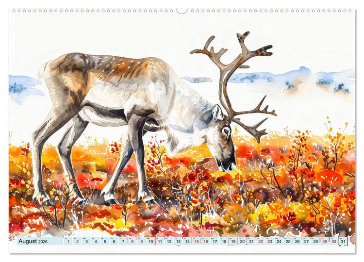 Produktbild: Eisige Polarkreise - Faszination der polaren Tierwelt (hochwertiger Premium Wandkalender 2026 DIN A2 quer), Kunstdruck in Hochglanz