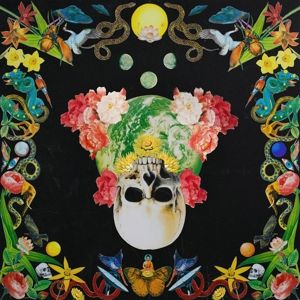 Produktbild: Helichrysum (LTD. Olive Green Vinyl)