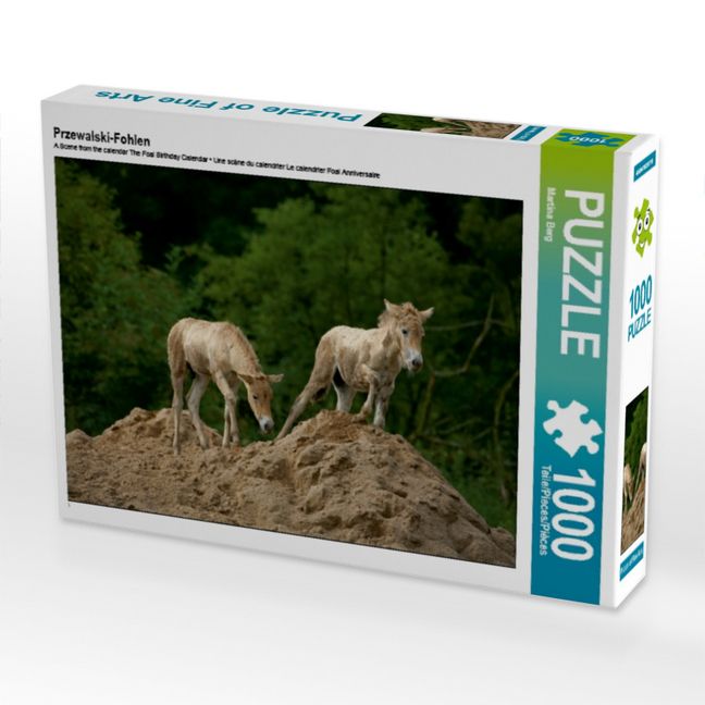 Produktbild: CALVENDO Puzzle Przewalski-Fohlen | 1000 Teile Lege-Gr&ouml;&szlig;e 64x48cm Foto-Puzzle f&uuml;r gl&uuml;ckliche Stunden