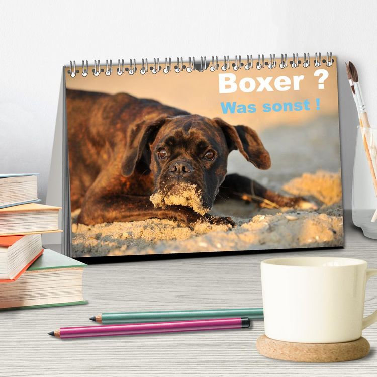 Produktbild: Boxer ? Was sonst ! (Tischkalender 2026 DIN A5 quer), CALVENDO Monatskalender