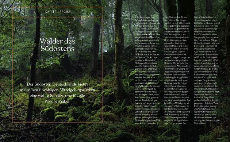 Produktbild: Wild Guide Deutsche W&auml;lder