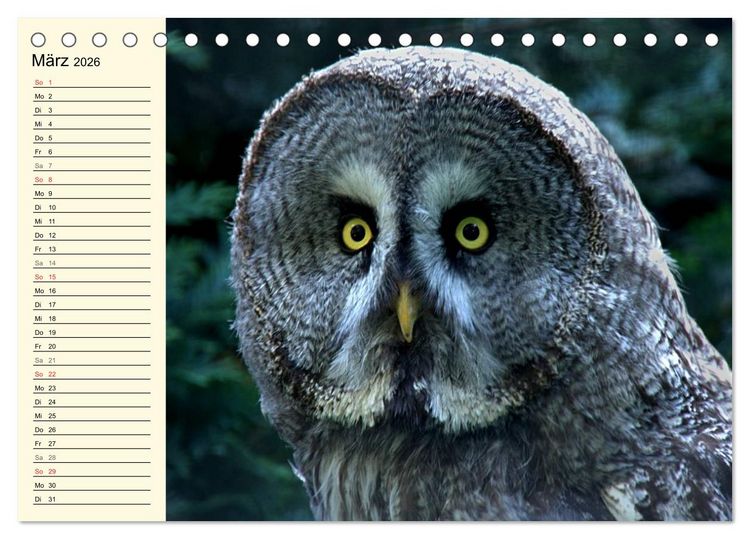 Produktbild: Greifv&ouml;gel (Tischkalender 2026 DIN A5 quer), CALVENDO Monatskalender