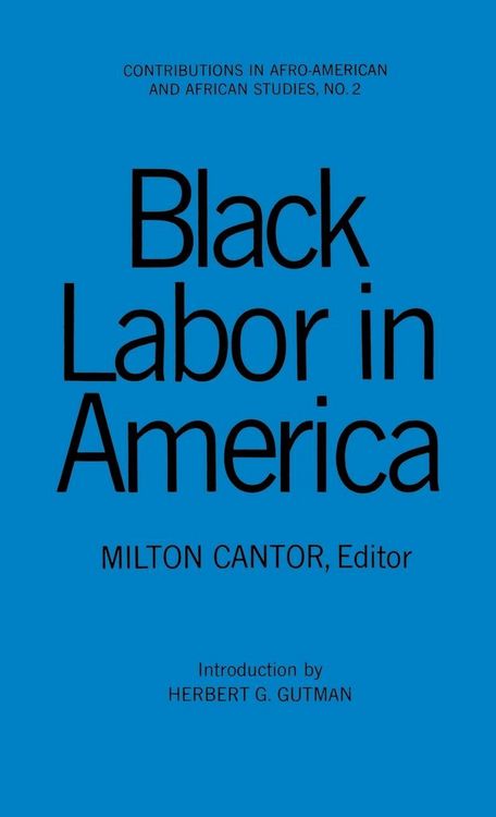 Produktbild: Black Labor in America
