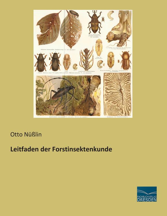 Produktbild: Leitfaden der Forstinsektenkunde