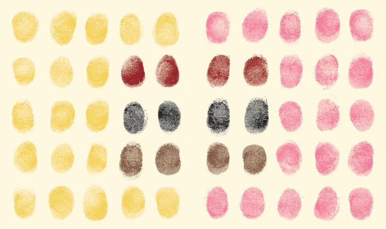 Produktbild: Fingerprint