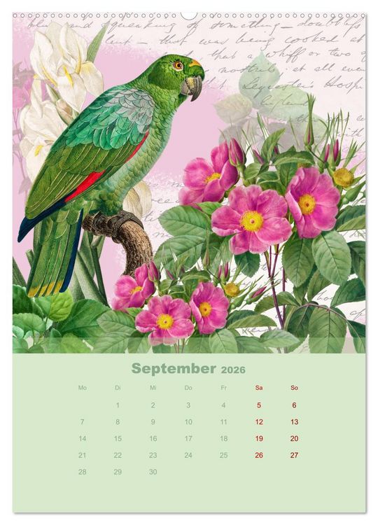 Produktbild: Rosencollagen mit Rosen von Pierre-Joseph Redout&eacute; (Wandkalender 2026 DIN A2 hoch), CALVENDO Monatskalender