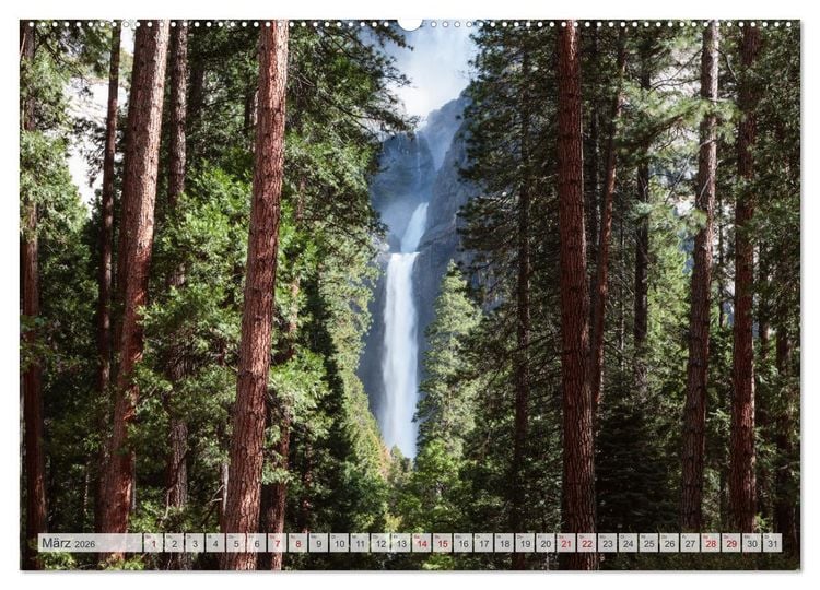 Produktbild: W&auml;lder der Welt (Wandkalender 2026 DIN A2 quer), CALVENDO Monatskalender