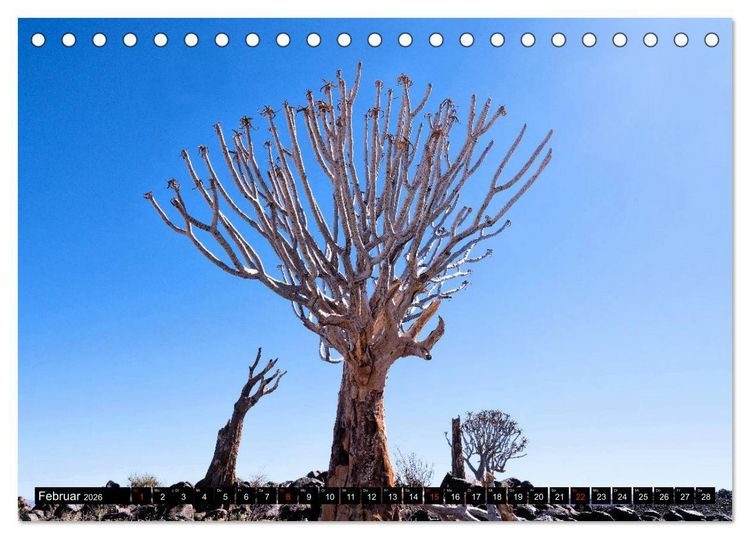 Produktbild: S&uuml;dliches Afrika - Vom Kap bis zu den Victoria F&auml;llen (Tischkalender 2026 DIN A5 quer), CALVENDO Monatskalender