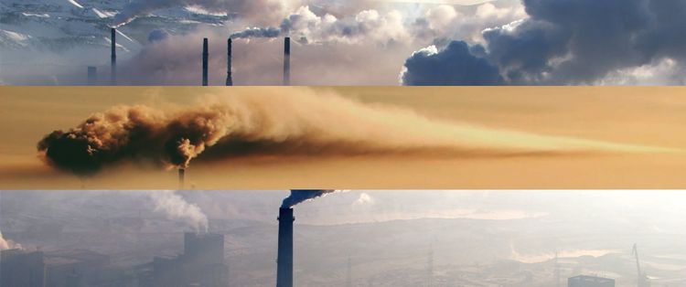 Produktbild: Das Kapital im 21. Jahrhundert (OmU)