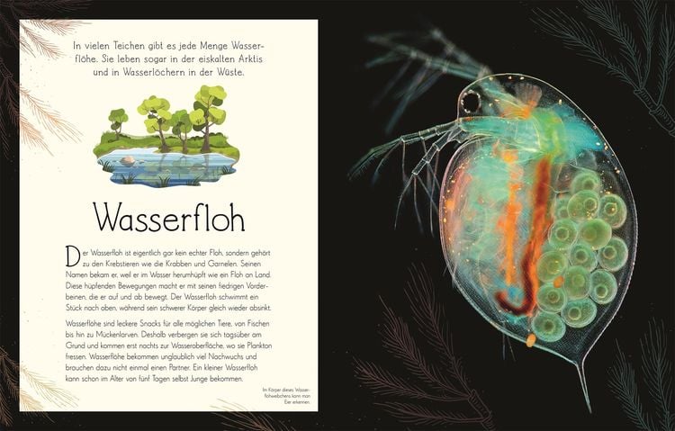 Wundervolle Welt. Wasser