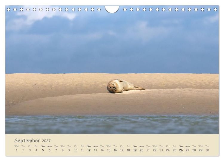 Produktbild: Wild encounters &ndash; Moments in the heart of nature (Wall Calendar 2027 DIN A4 landscape), CALVENDO 12 Month Wall Calendar