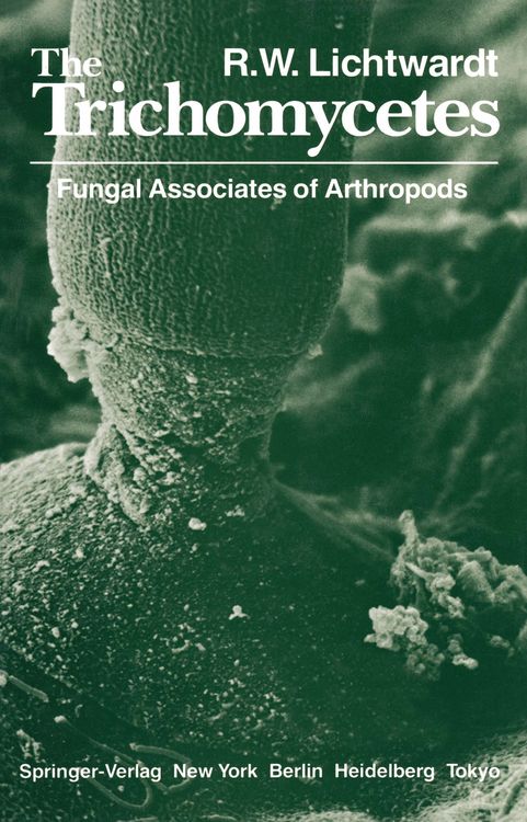Produktbild: The Trichomycetes