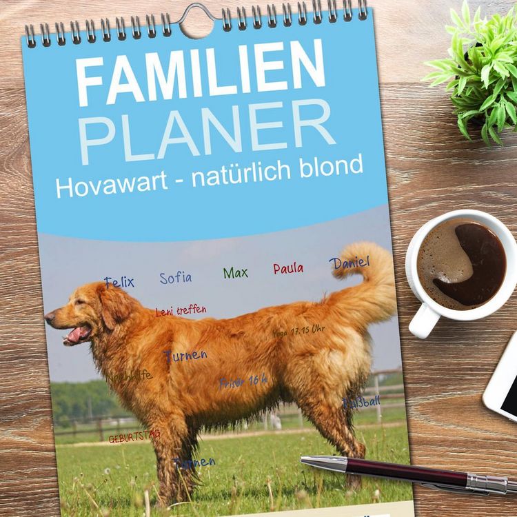 Produktbild: Familienplaner 2026 - Hovawart - nat&uuml;rlich blond mit 5 Spalten (Wandkalender, 21 x 45 cm) CALVENDO