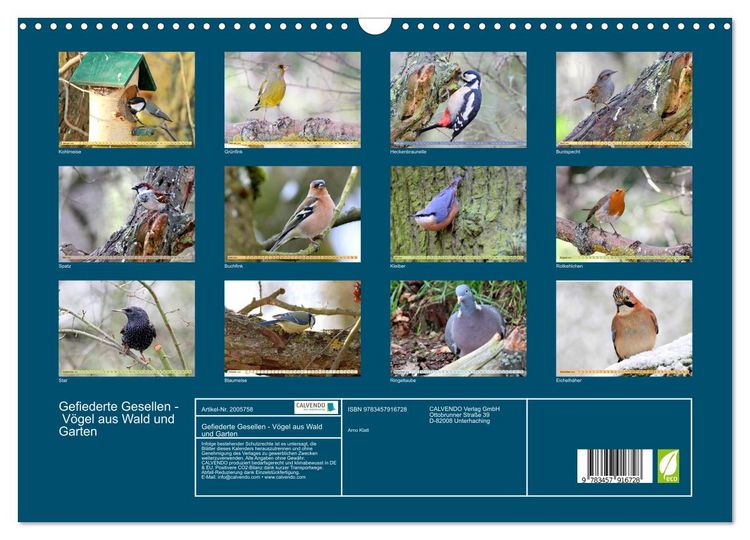 Produktbild: Gefiederte Gesellen - V&ouml;gel aus Wald und Garten (Wandkalender 2026 DIN A3 quer), CALVENDO Monatskalender