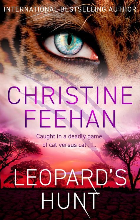 Produktbild: Leopard's Hunt
