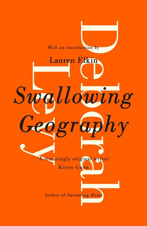 Produktbild: Swallowing Geography