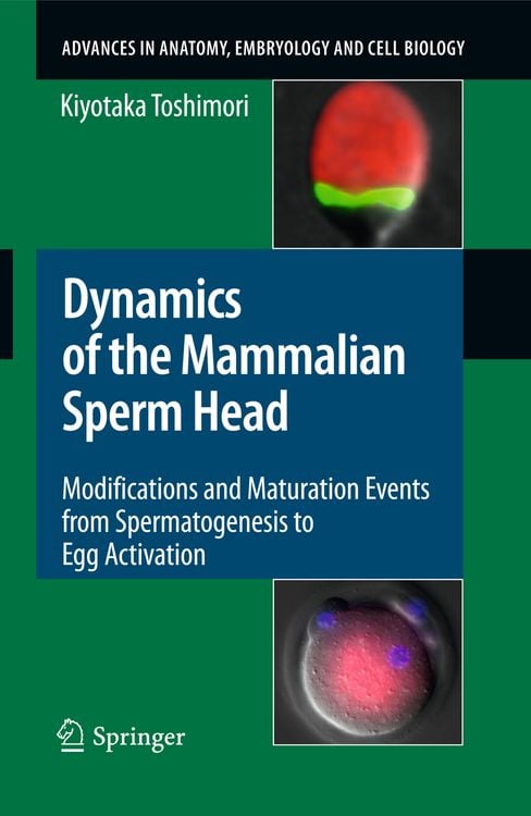 Produktbild: Dynamics of the Mammalian Sperm Head