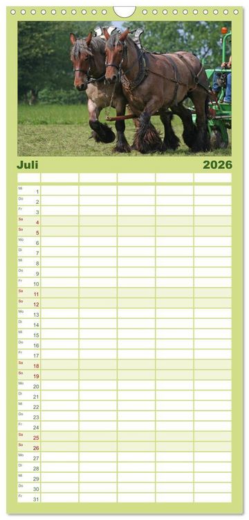 Produktbild: Familienplaner 2026 - Starke Pferde bei der Arbeit mit 5 Spalten (Wandkalender, 21 x 45 cm) CALVENDO