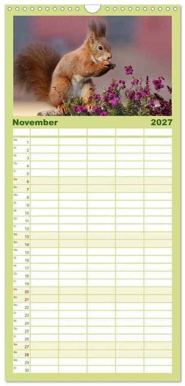 Produktbild: Familienplaner 2027 - Eichh&ouml;rnchen Momentaufnahmen f&uuml;rs Herz mit 5 Spalten (Wandkalender, 21 x 45 cm) CALVENDO