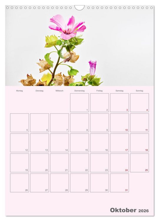 Produktbild: Blumenmetamorphosen (Wandkalender 2026 DIN A3 hoch), CALVENDO Monatskalender