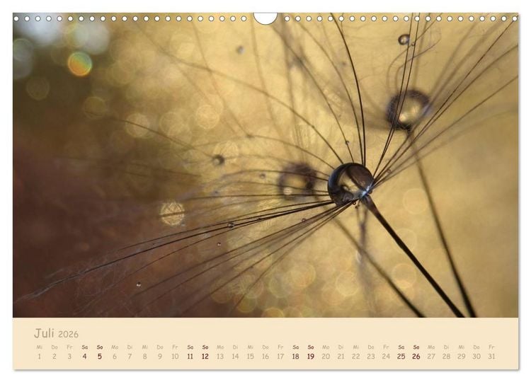Produktbild: Unscheinbare Sch&ouml;nheit - Pusteblume (Wandkalender 2026 DIN A3 quer), CALVENDO Monatskalender